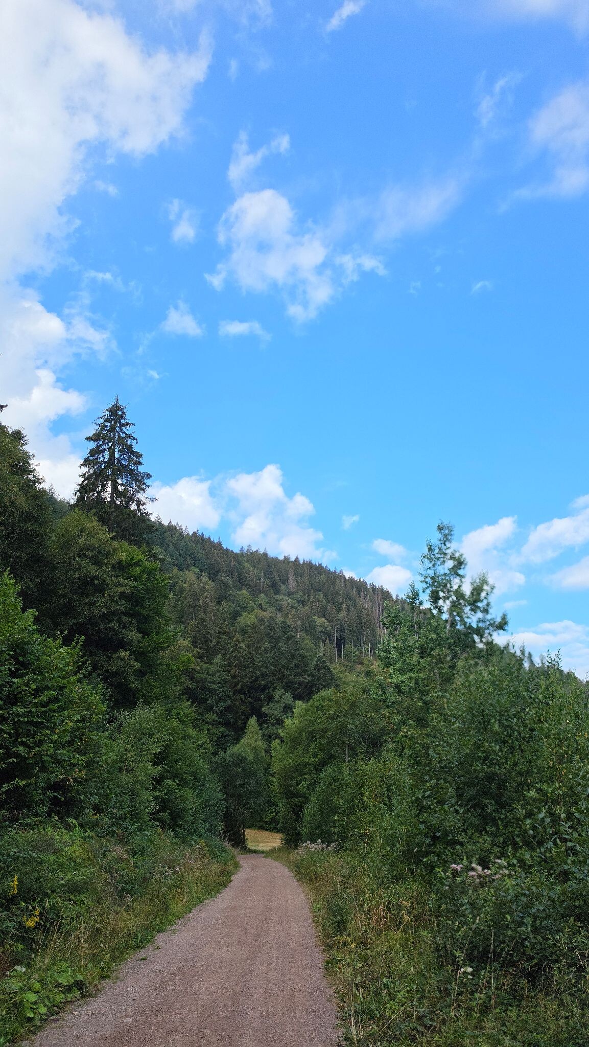 Eingang Löffeltal - Unterführung B31