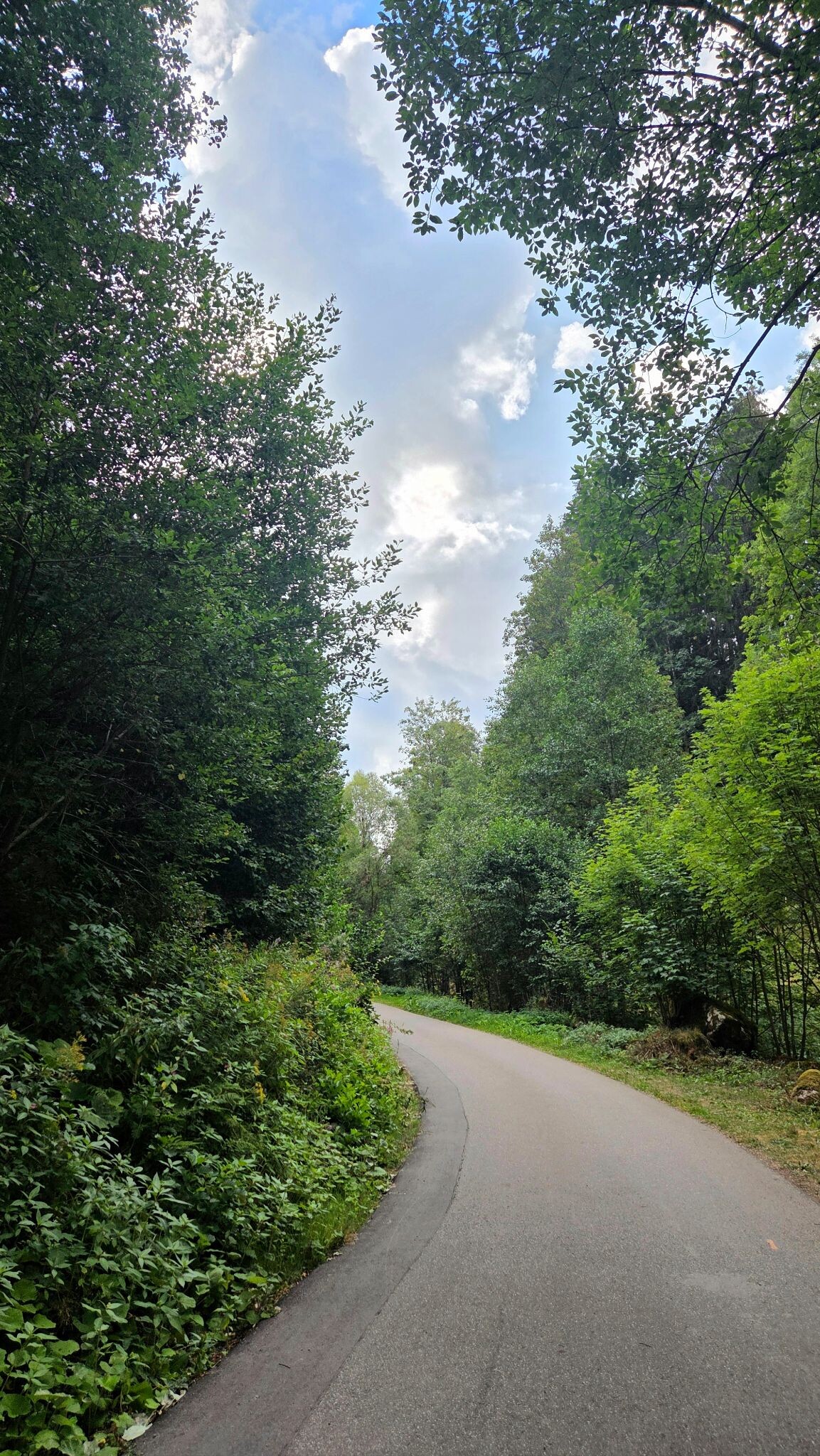 Heimatpfad Hochschwarzwald von Hinterzarten durch die Ravennaschlucht