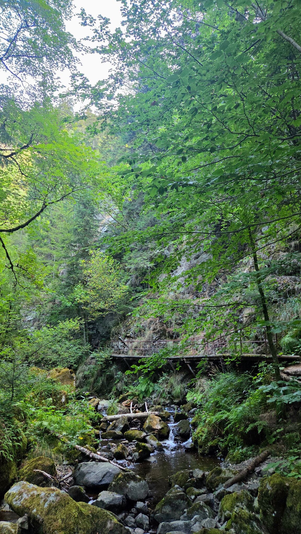 Heimatpfad Hochschwarzwald von Hinterzarten durch die Ravennaschlucht
