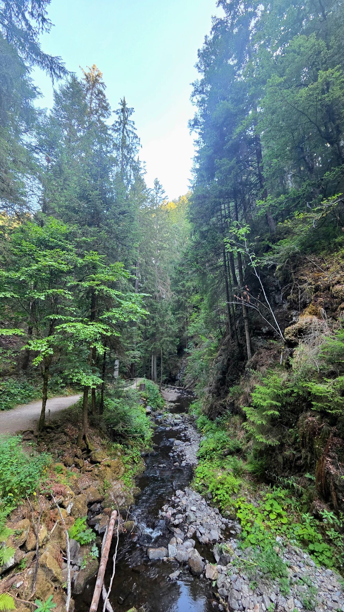 Heimatpfad Hochschwarzwald von Hinterzarten durch die Ravennaschlucht