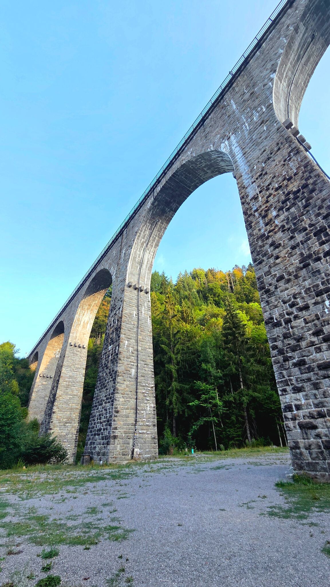 Heimatpfad Hochschwarzwald von Hinterzarten durch die Ravennaschlucht