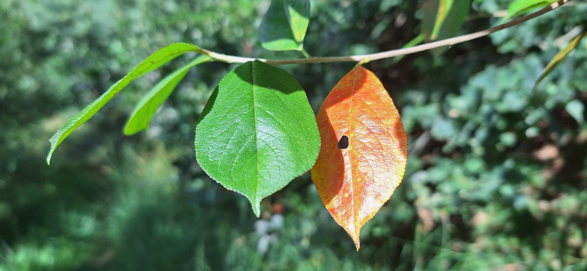 Natuurlijk Gees Beleefroute
