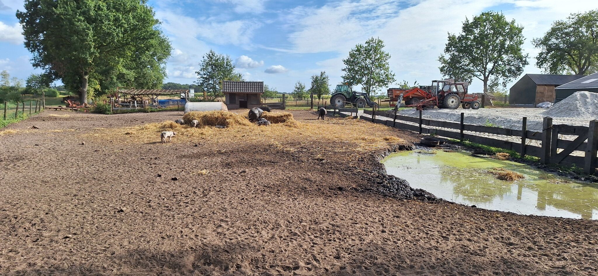 Prachtige wandeling in de driehoek Gees, Geesbrug en Zwiggelte