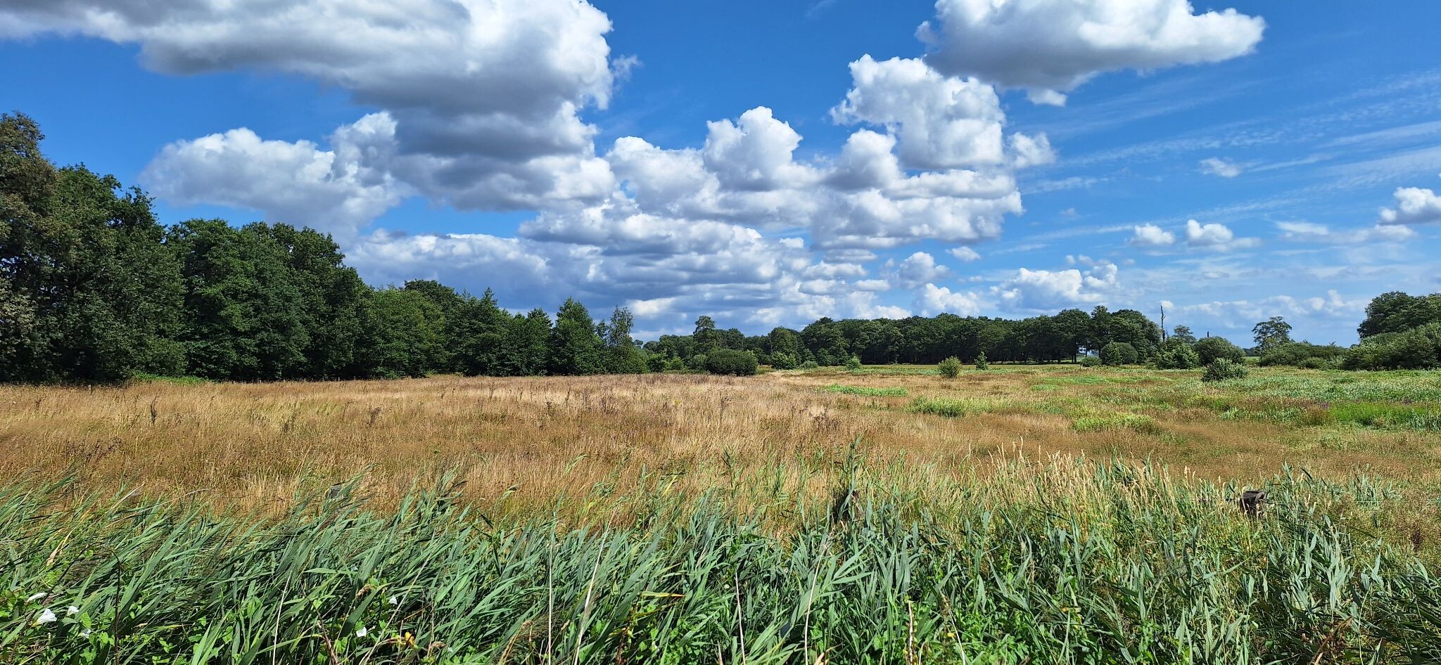 Prachtige wandeling in de driehoek Gees, Geesbrug en Zwinderen