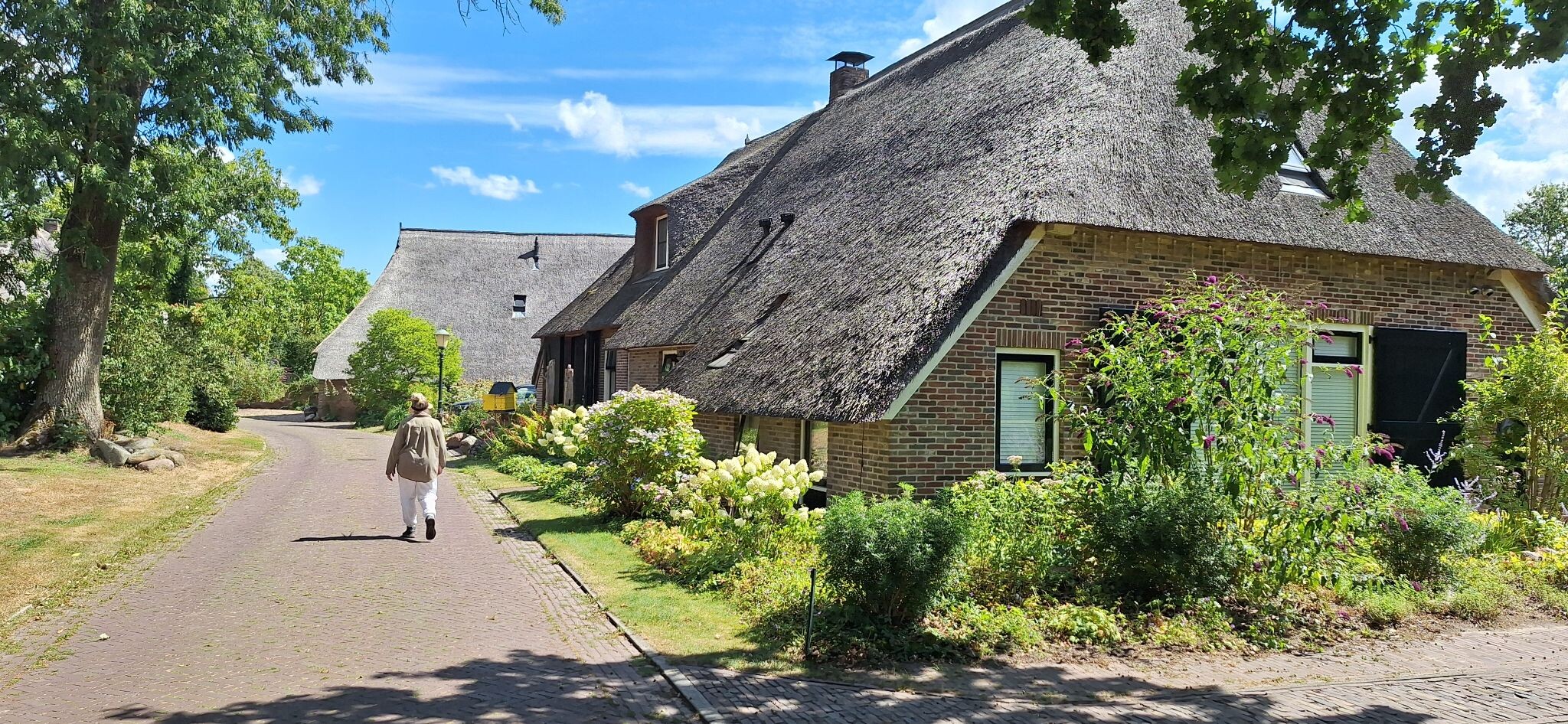 Prachtige wandeling in de driehoek Gees, Geesbrug en Zwiggelte
