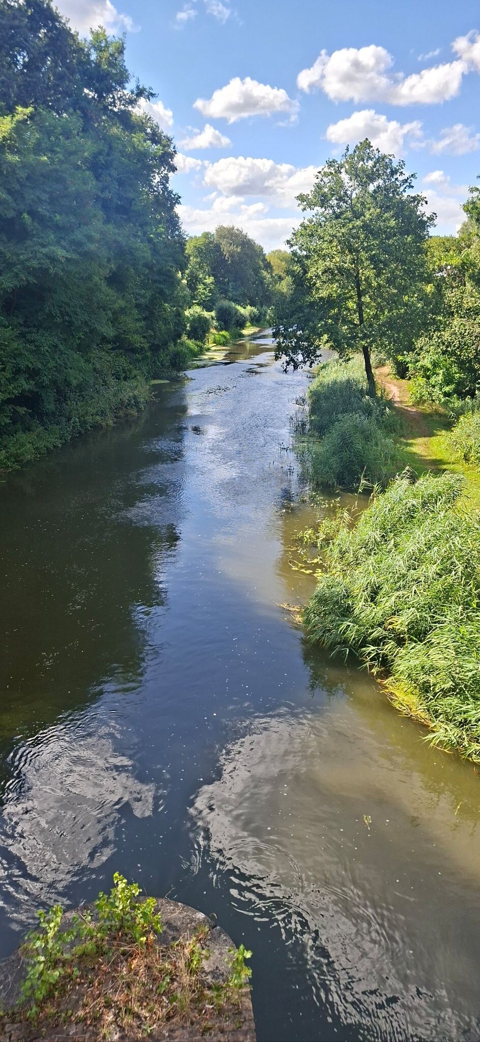 Renswoude