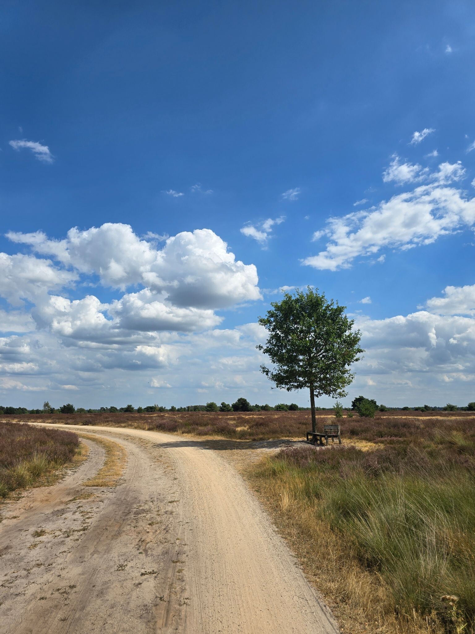 Wandelroute vennen Strabrechtse Heide