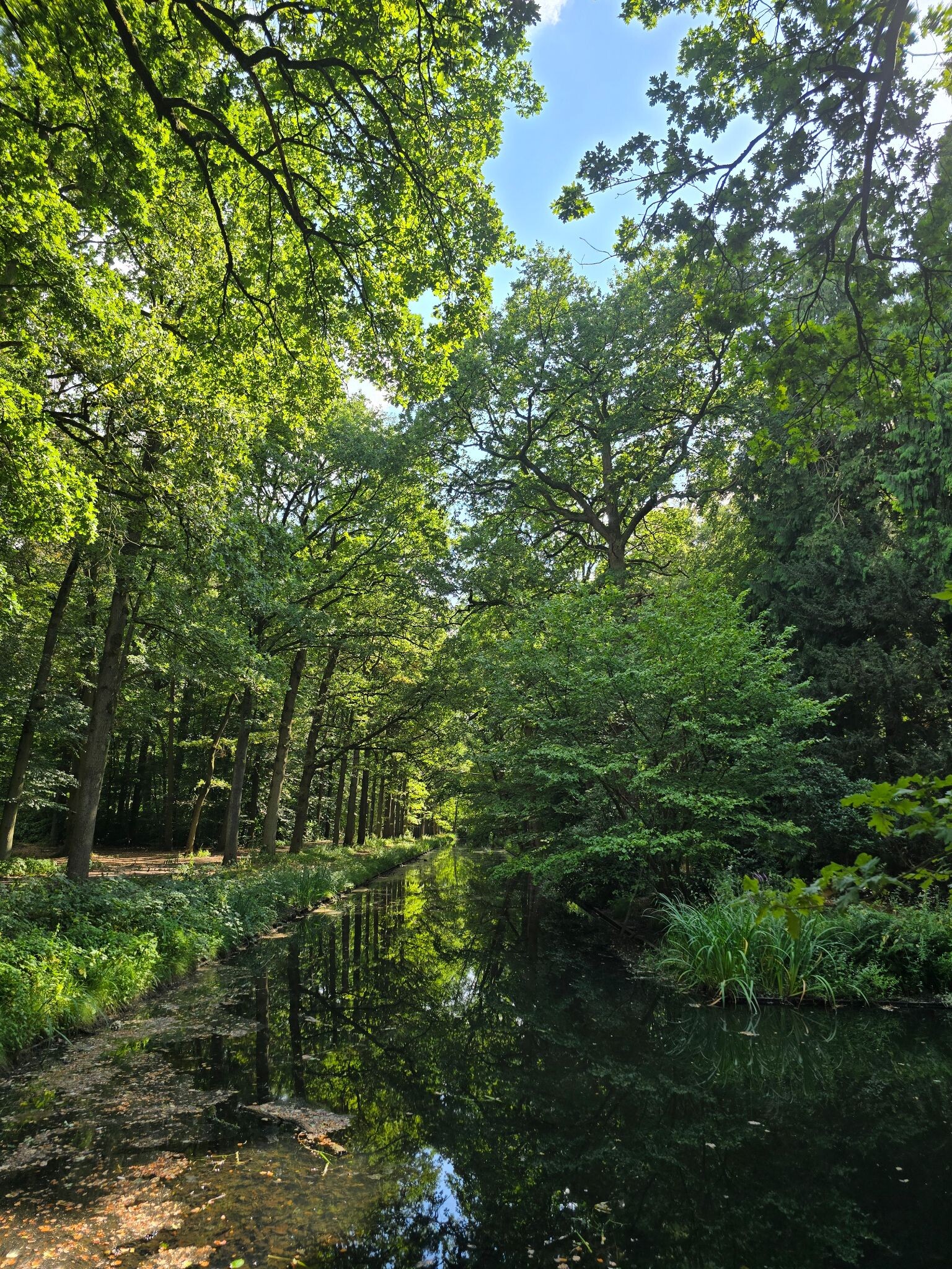 Heide-, kasteel wandeling