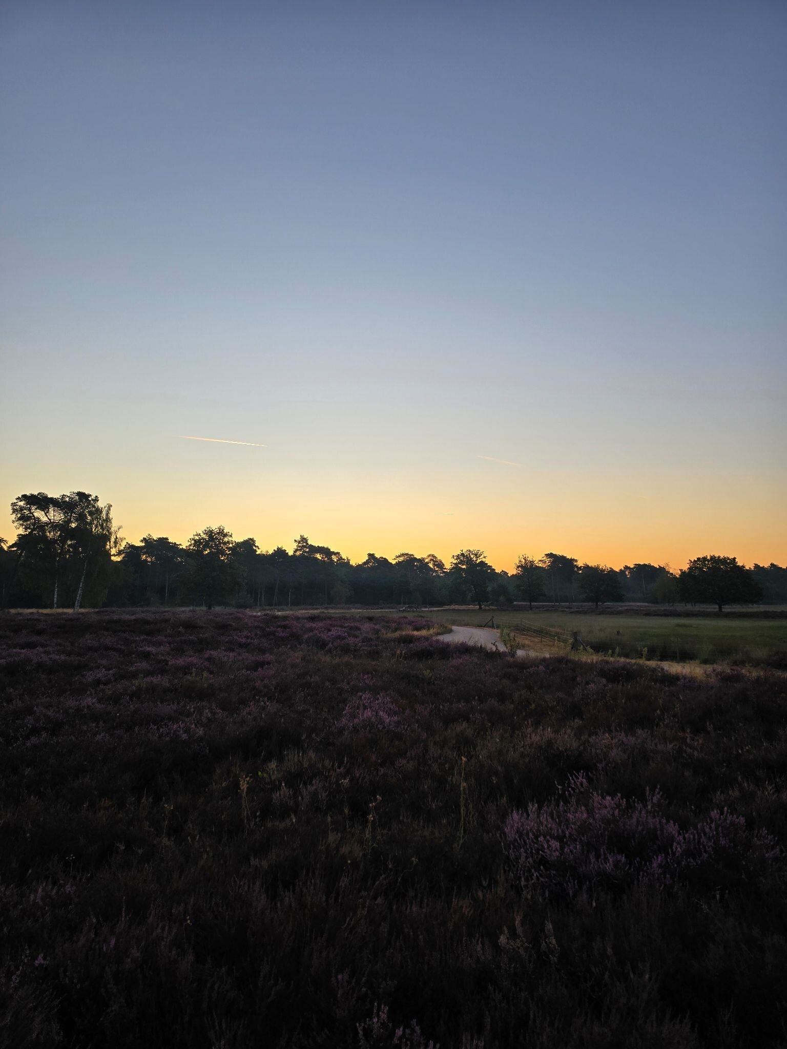Laatste vroege ochtendwandeling van onze Roadtrip door Nederland 2026