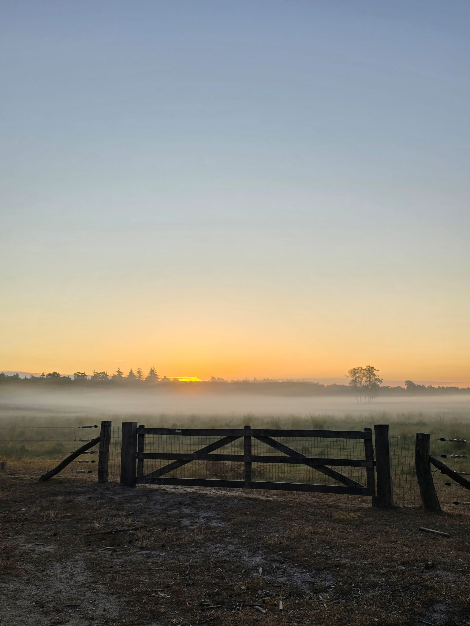 Laatste vroege ochtendwandeling van onze Roadtrip door Nederland 2026