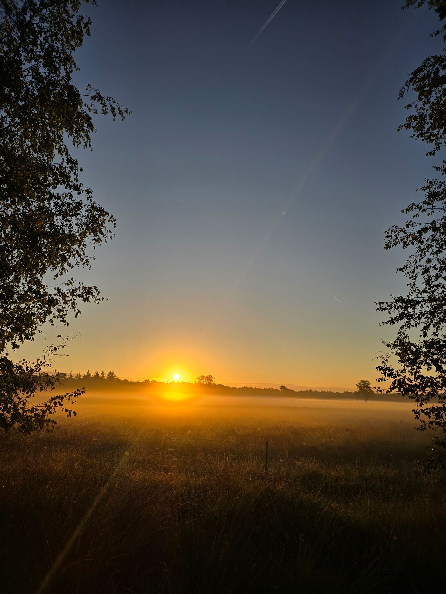 Limburg