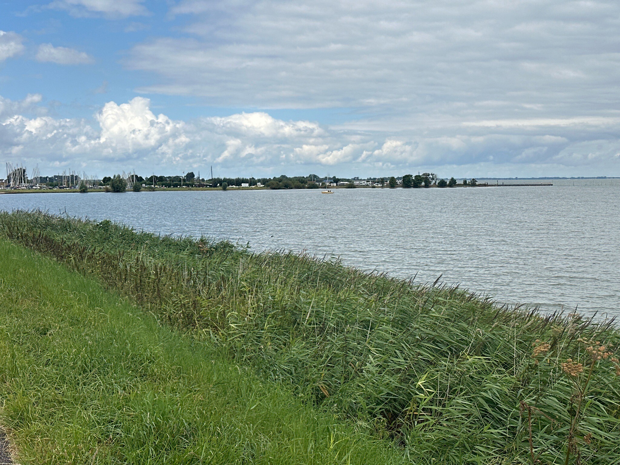 Edam Marken Schellingwou