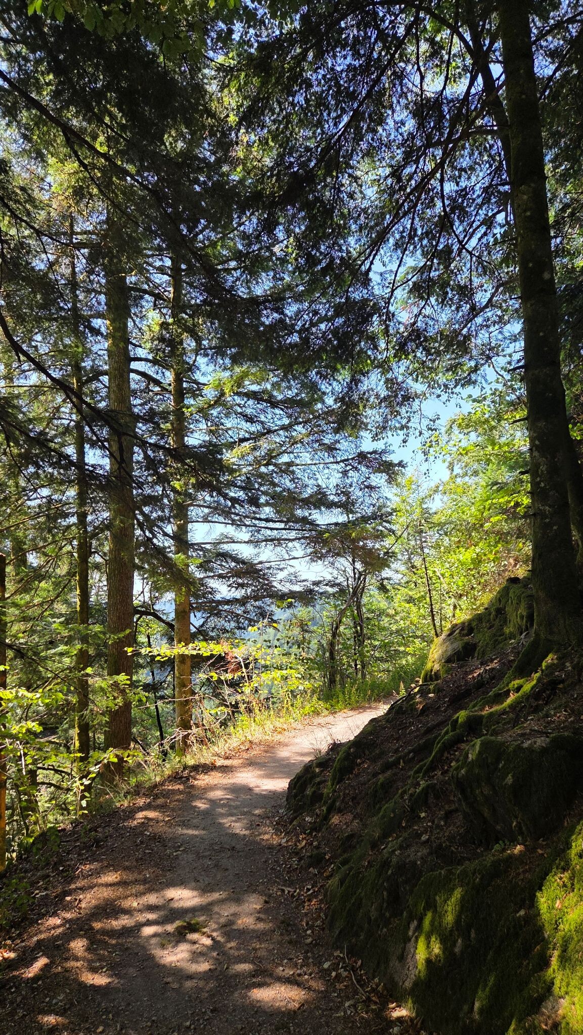 Sagenrundweg (Allerheiligen Watervallen)