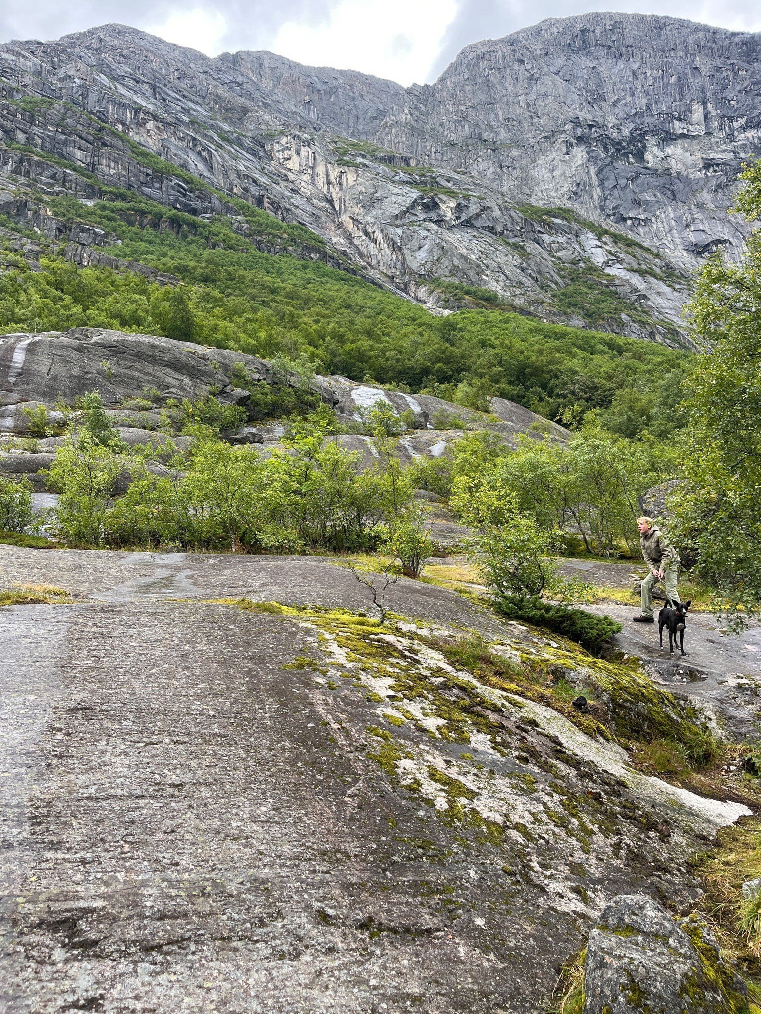 Jostedalsbreen nasjonalpark