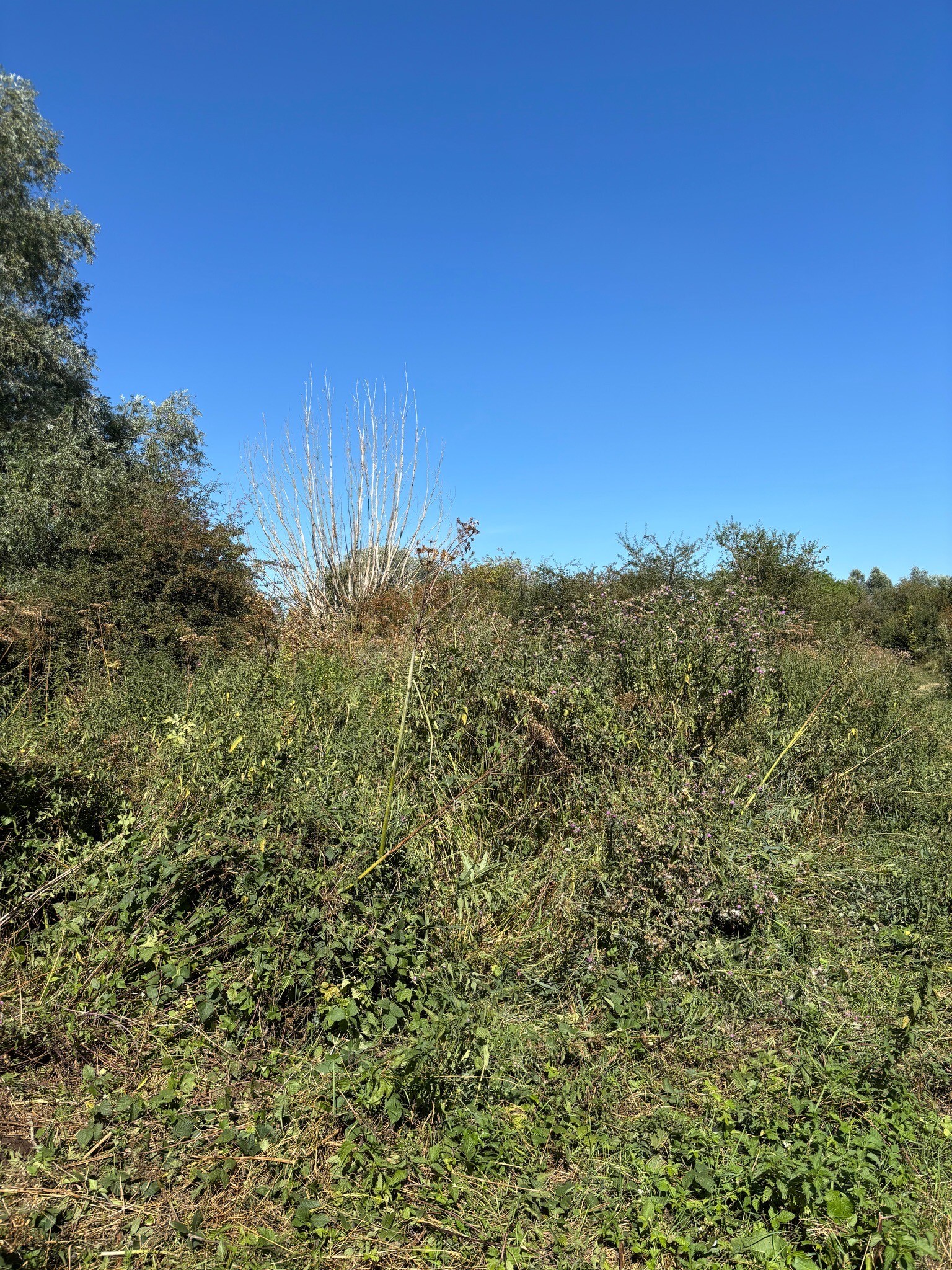 Wageningen, haven - Heveadorp, Westerbouwing · Romeinse Limespad etappe 13
