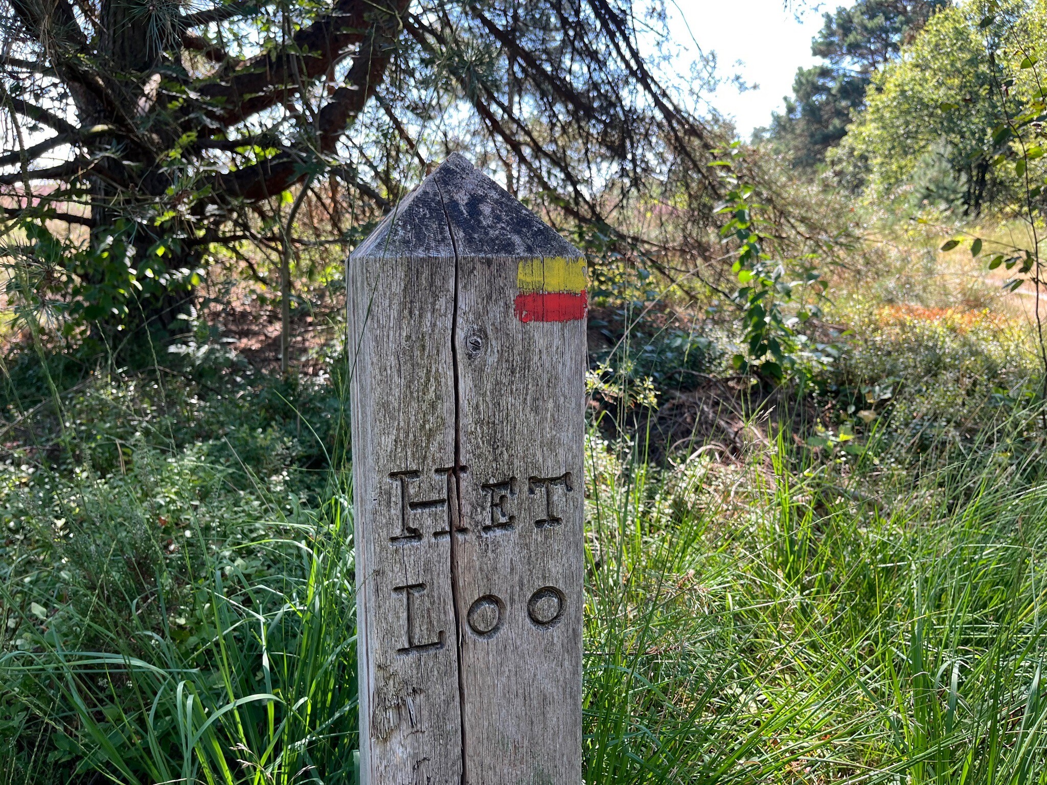 Vierhouten - Vaassen · Veluwe Zwerfpad etappe 11