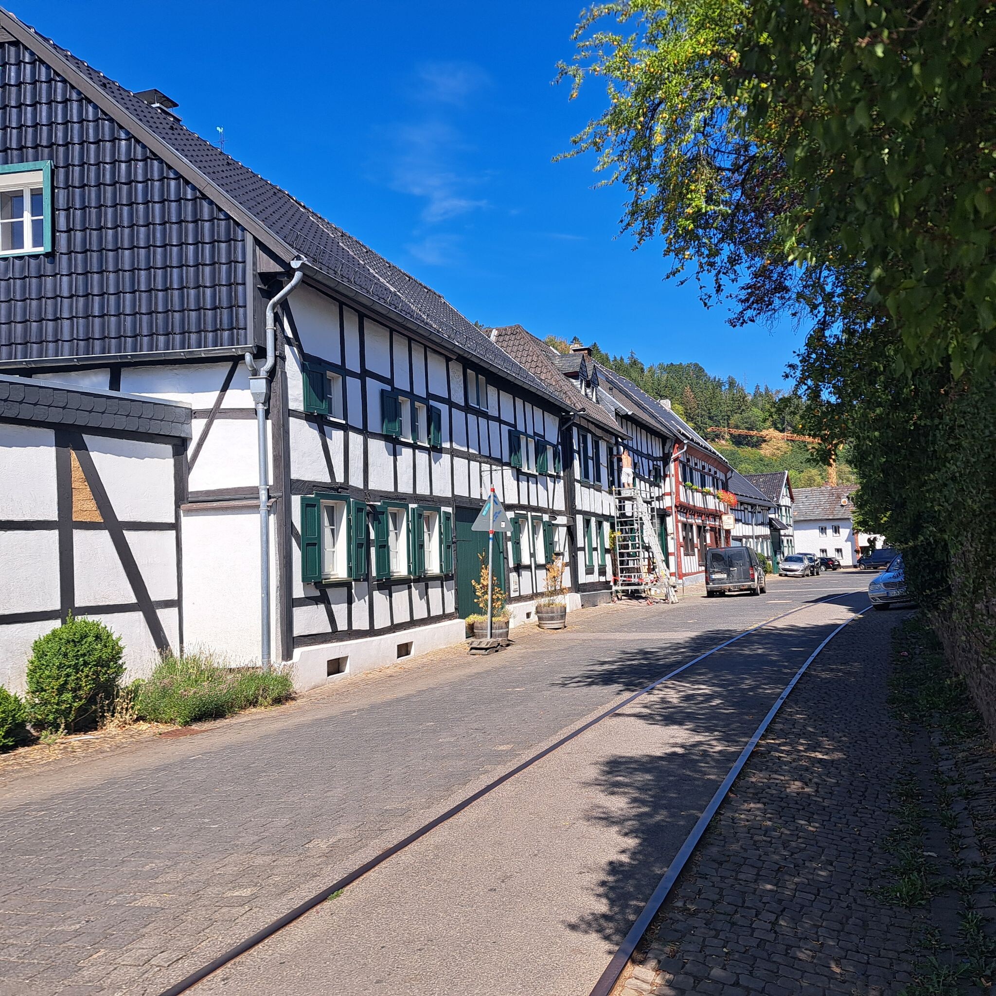 Gemünd - Steinfeld · Eifelsteig etappe 5