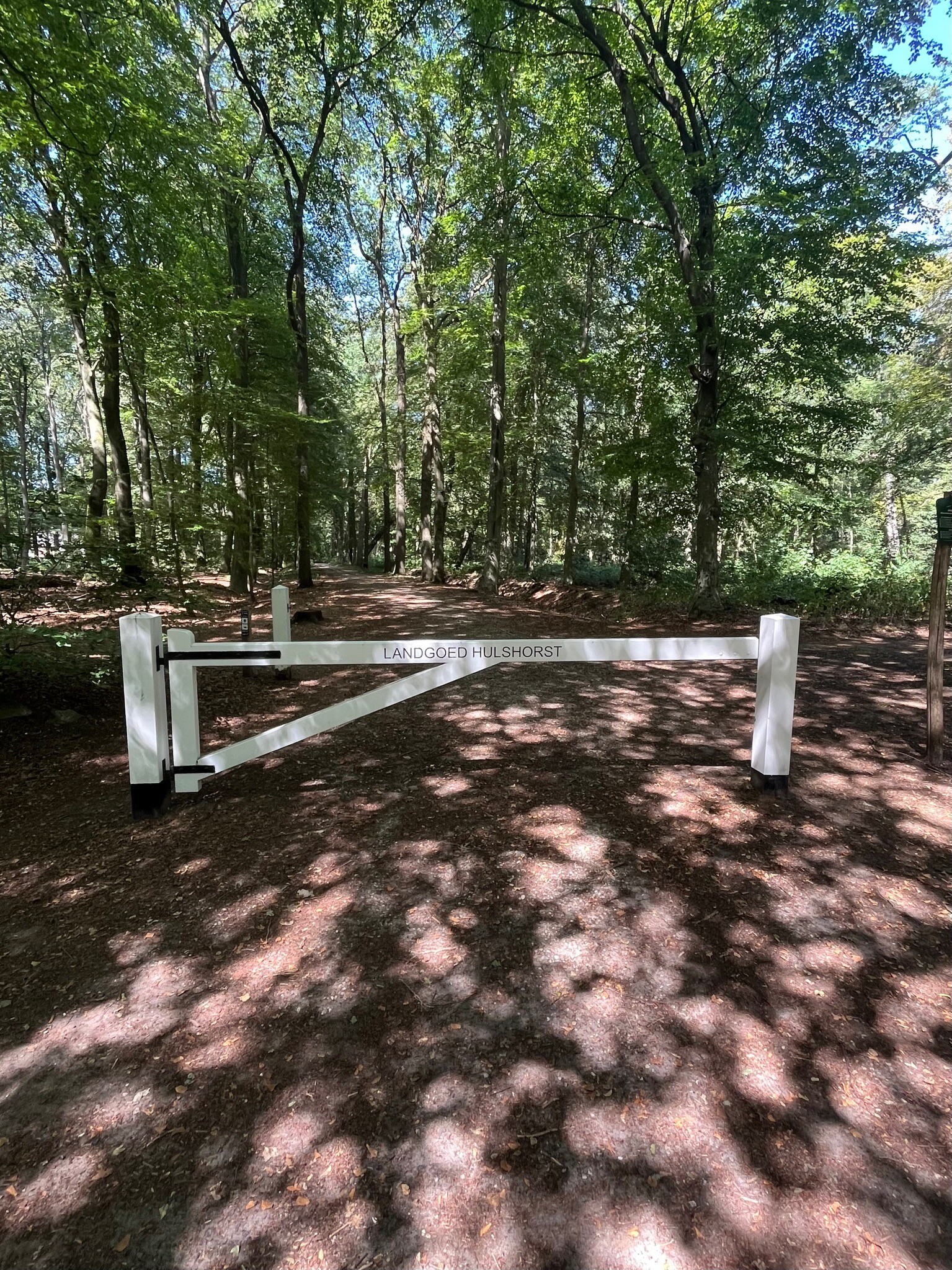 Wandeling Veluwemeerkust-Hulshorst