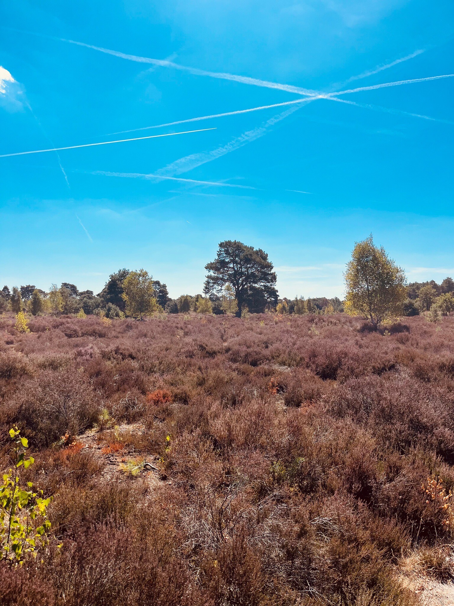 Rondje Veluwe 17 - Hulshorst - Nunspeet