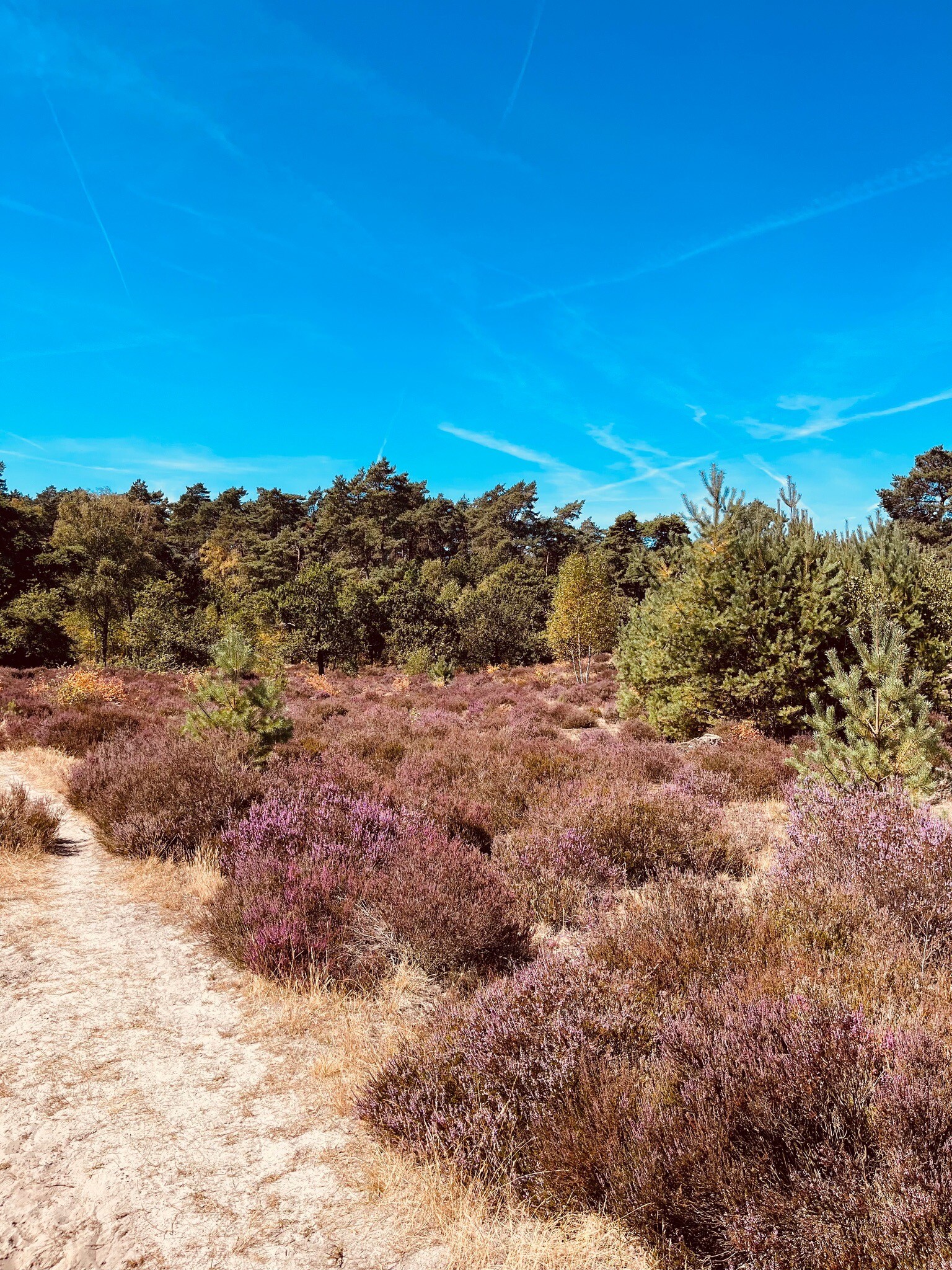 Rondje Veluwe 17 - Hulshorst - Nunspeet