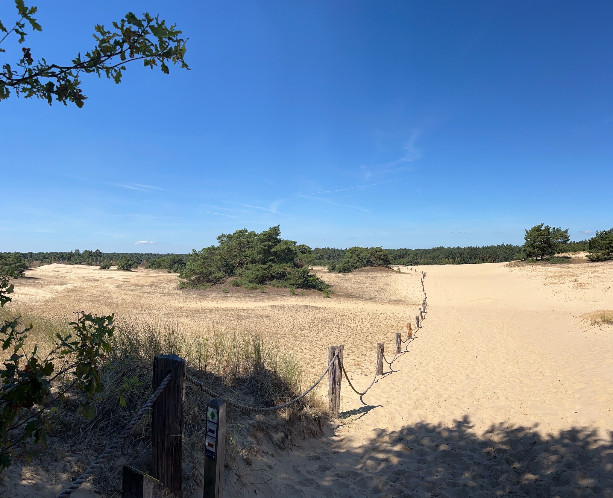 Stuifzand- en heidewandeling rond het Hulshorsterzand