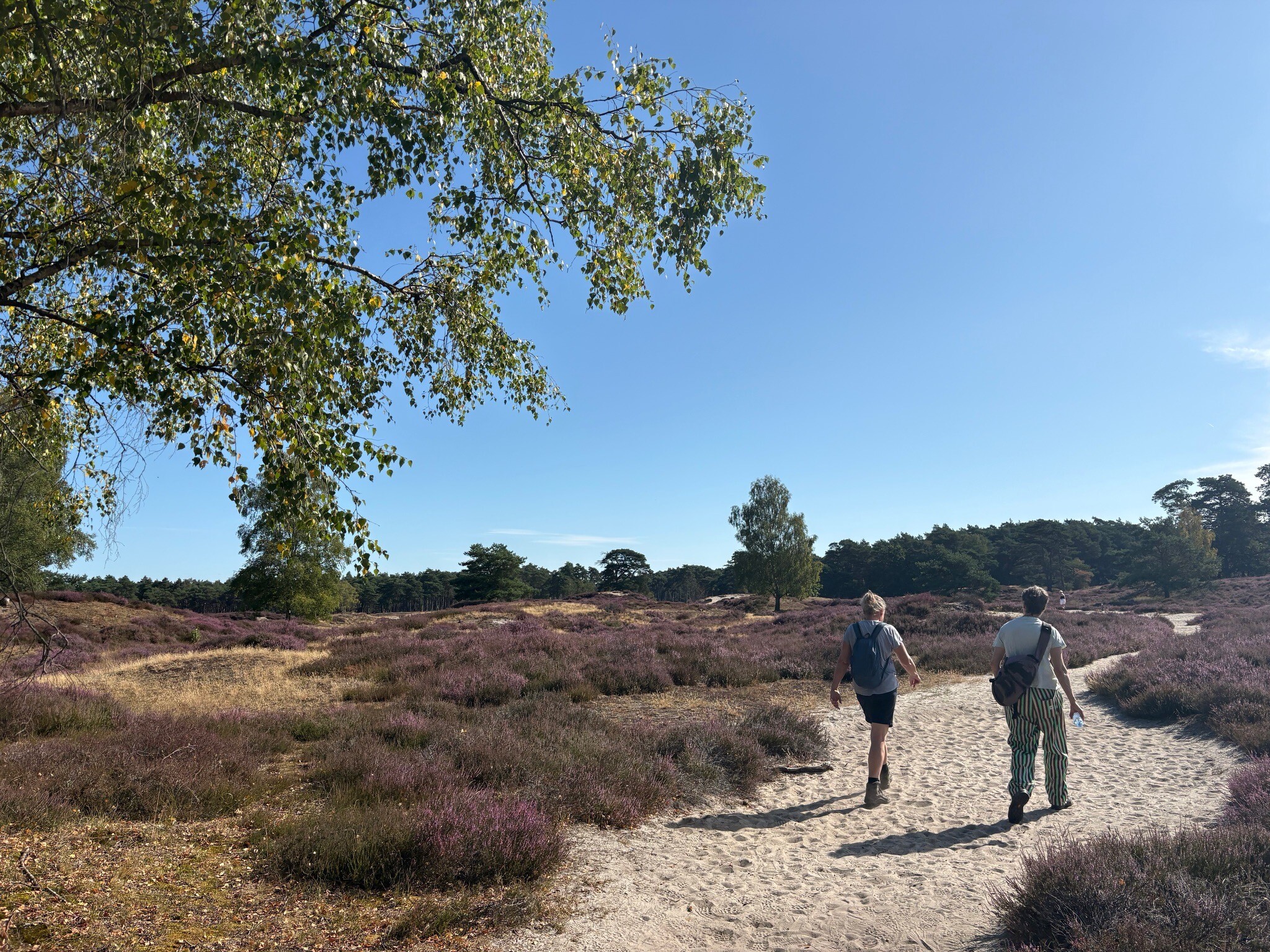 Ns wandeling Driebergenzeist maarn