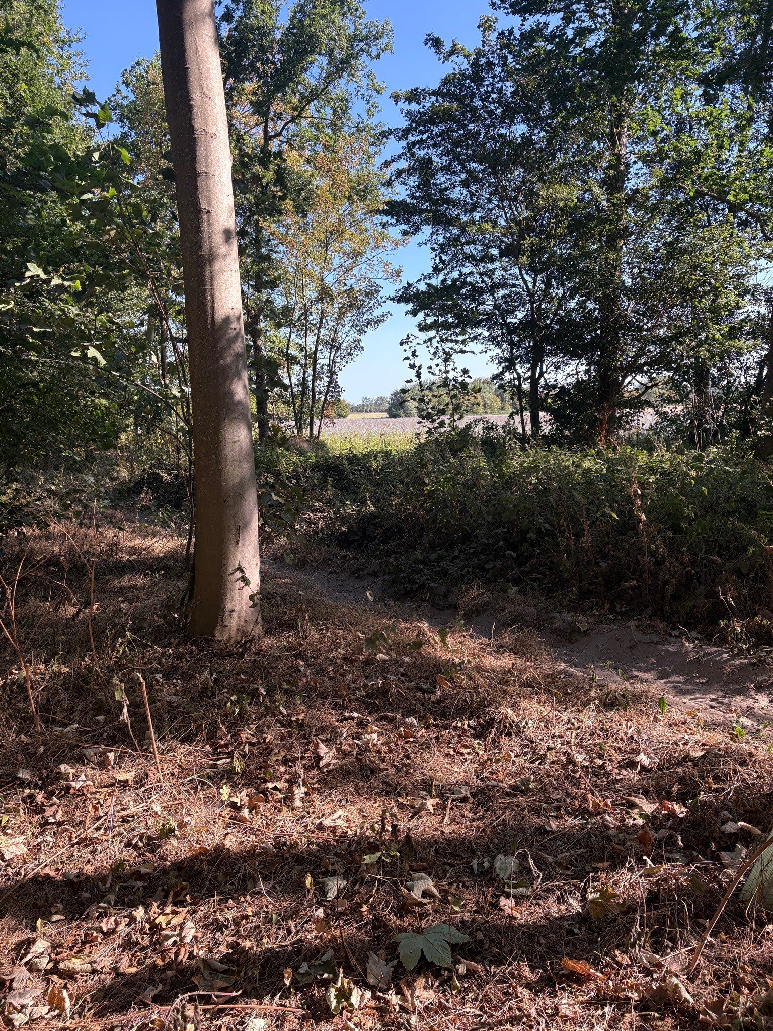 Kunstpicknickroute 56 km