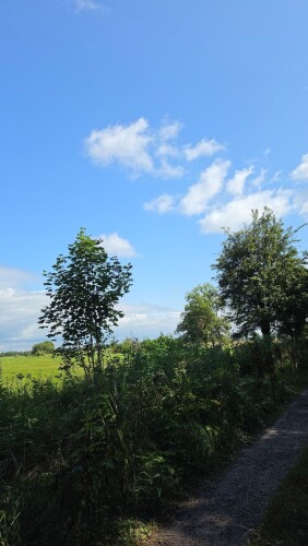 Wandelroute Eexterveld