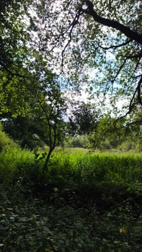 Wandelroute Eexterveld