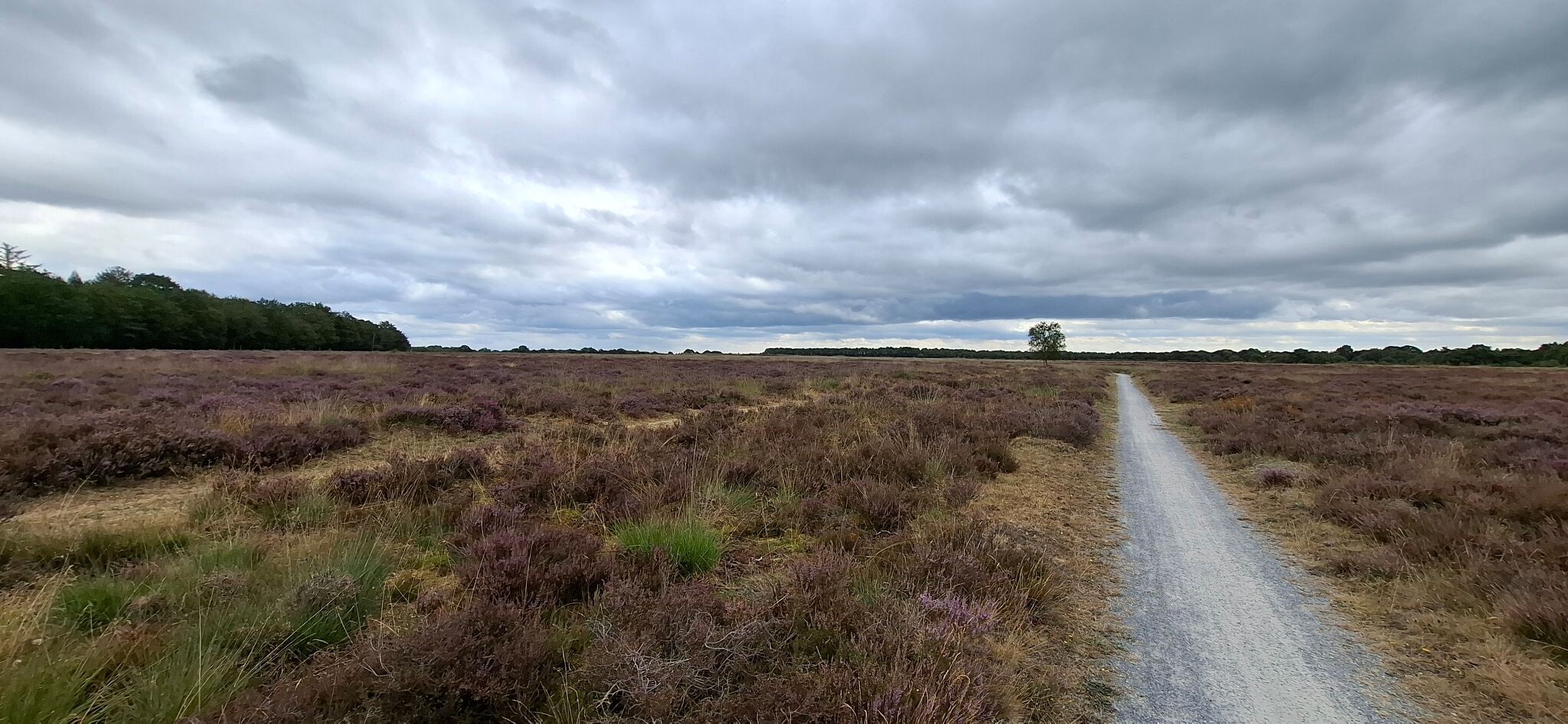 Knapzakroute Zeijen-Peest