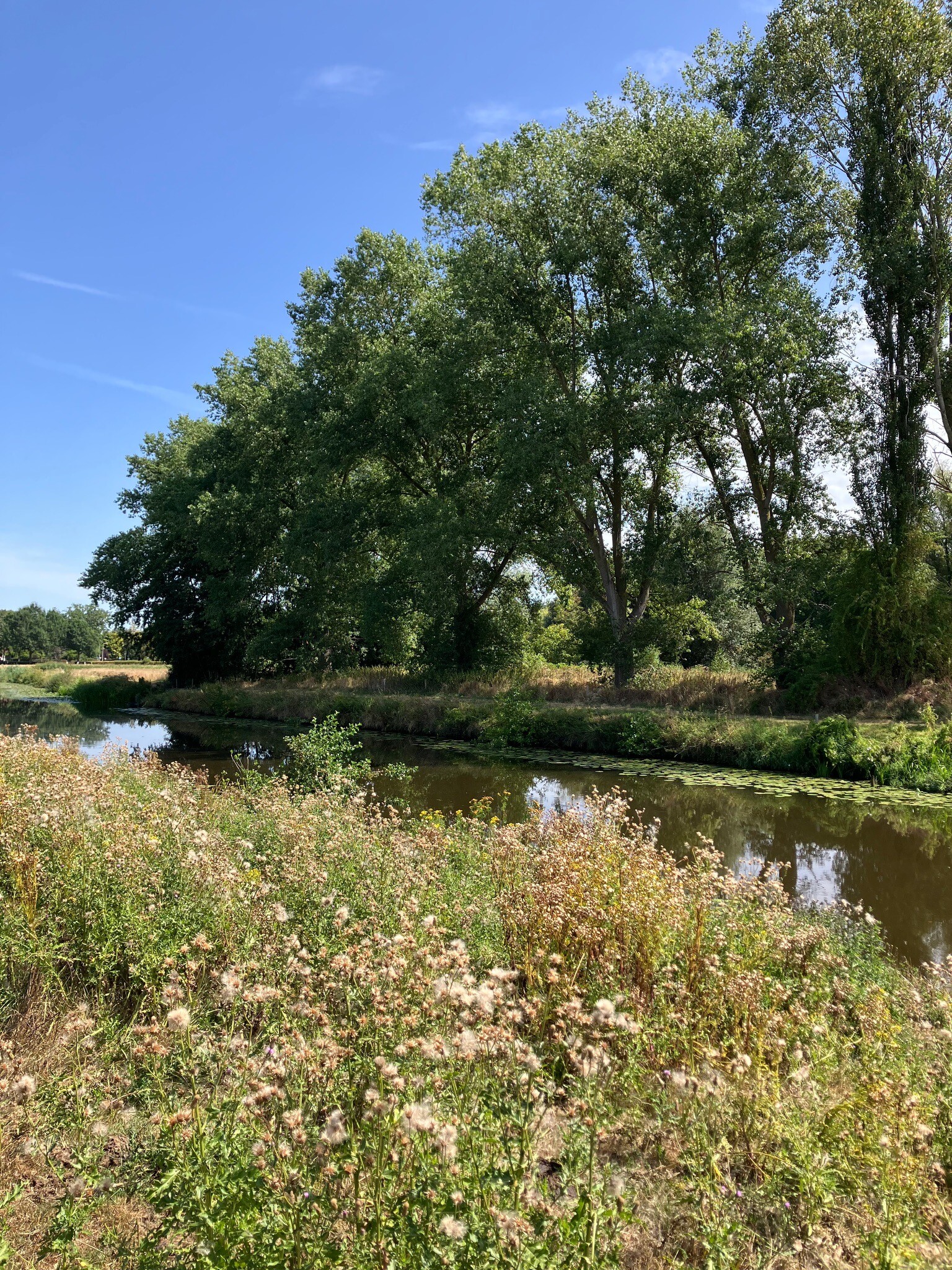 Landgoed Valkenberg - Breda station · Grenslandpad etappe 20