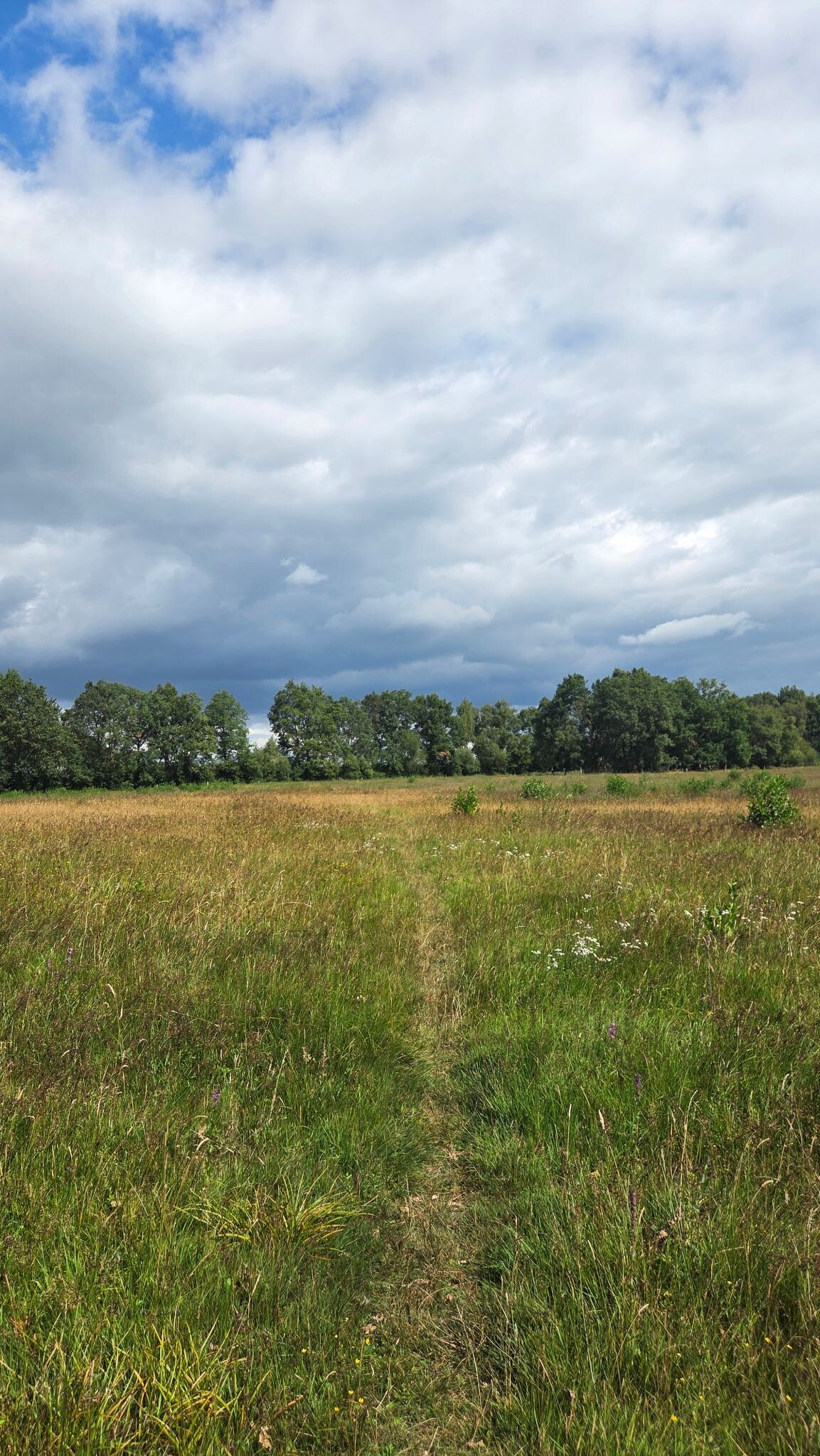 Onze mooiste momenten op het Eexterveld — photo 2 along the walking route Wandelroute Eexterveld