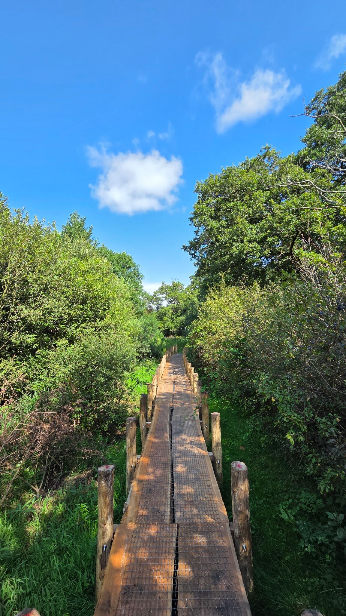 Onze mooiste momenten op het Eexterveld — photo 1 along the walking route Wandelroute Eexterveld