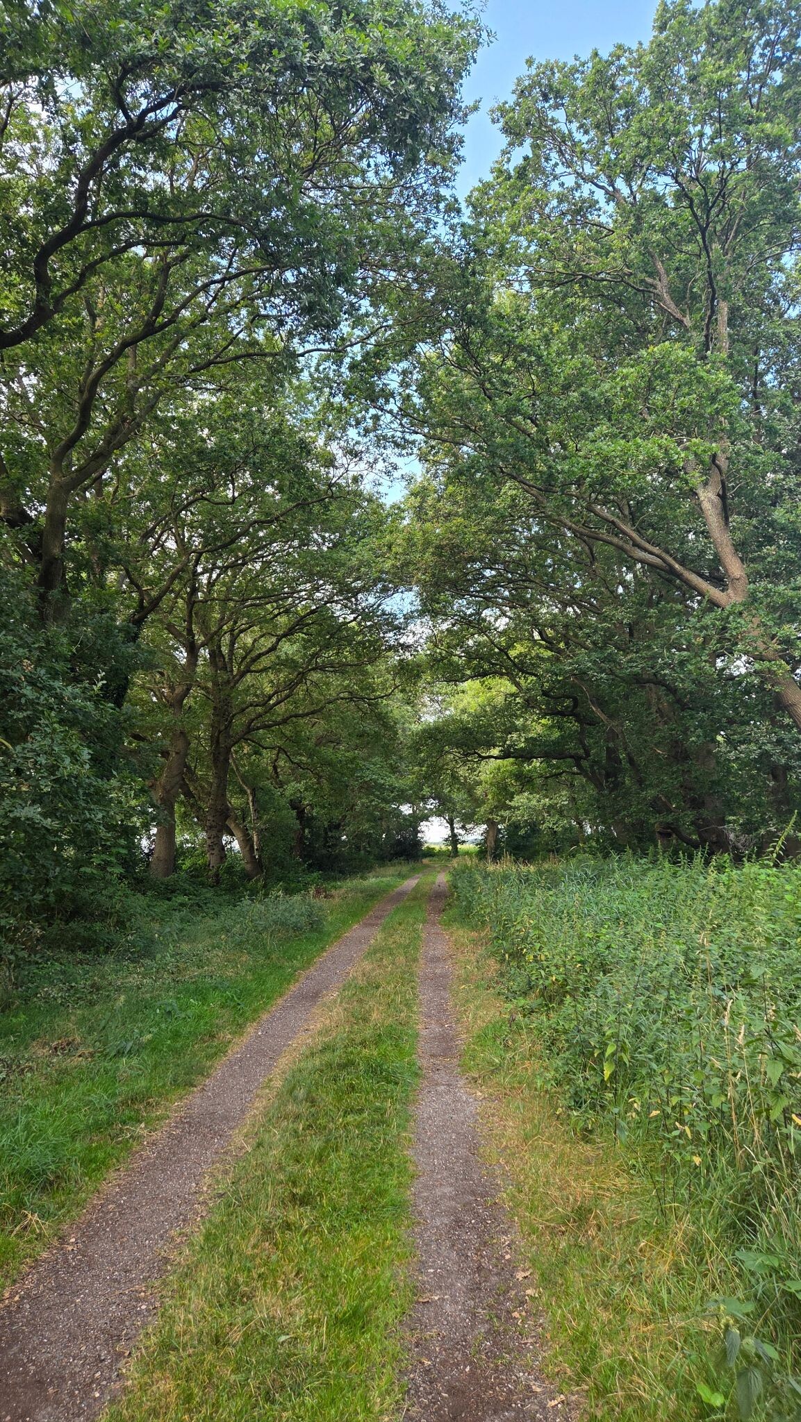 Onze mooiste momenten op het Eexterveld — photo 3 along the walking route Wandelroute Eexterveld