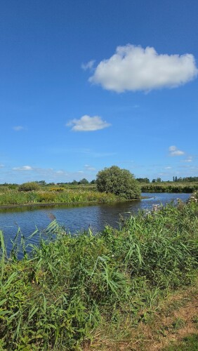 Wandelroute It Wikelslân | Nationaal Park De Alde Feanen