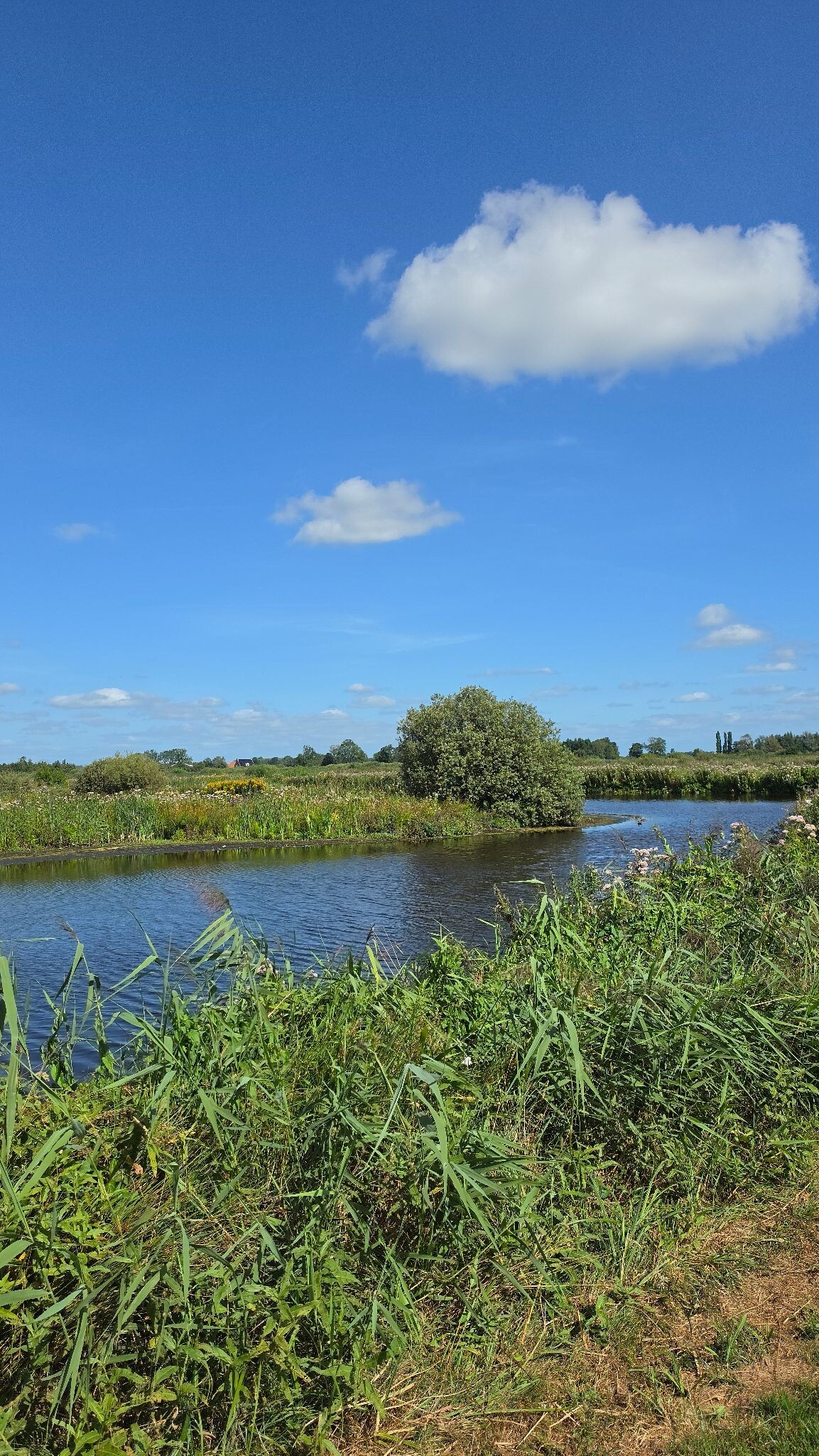 De Alde Feanen