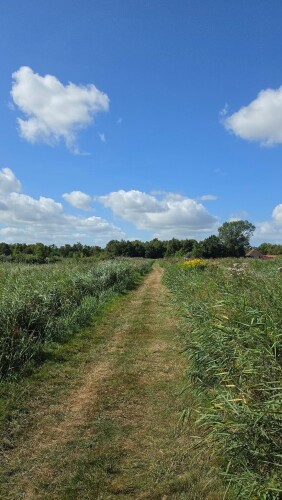Wandelroute It Wikelslân | Nationaal Park De Alde Feanen