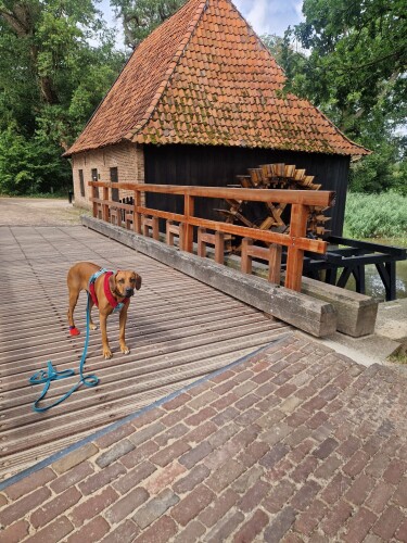 Borne - Delden · Marskramerpad etappe 3