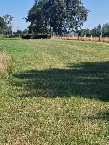 Delden - Rijssen · Marskramerpad etappe 4