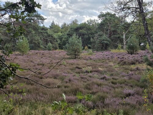 Amersfoort - Maartensdijk · Marskramerpad etappe 14