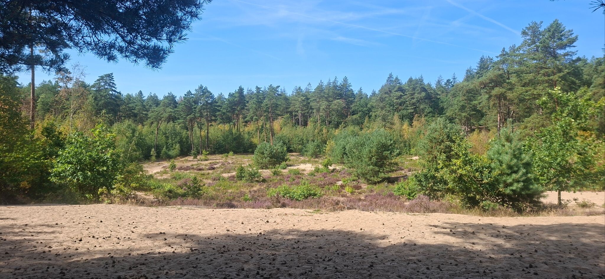 Baarn - Hollandse Rading · Utrechtpad etappe 9