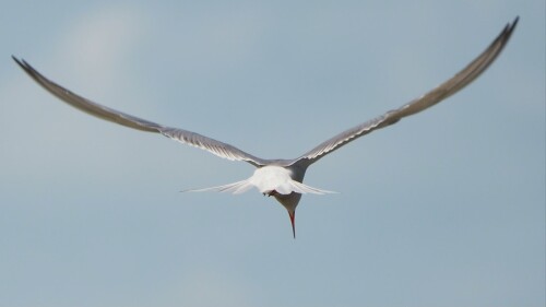 Kustroute op de Marker Wadden