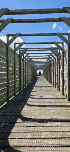 Kustroute op de Marker Wadden