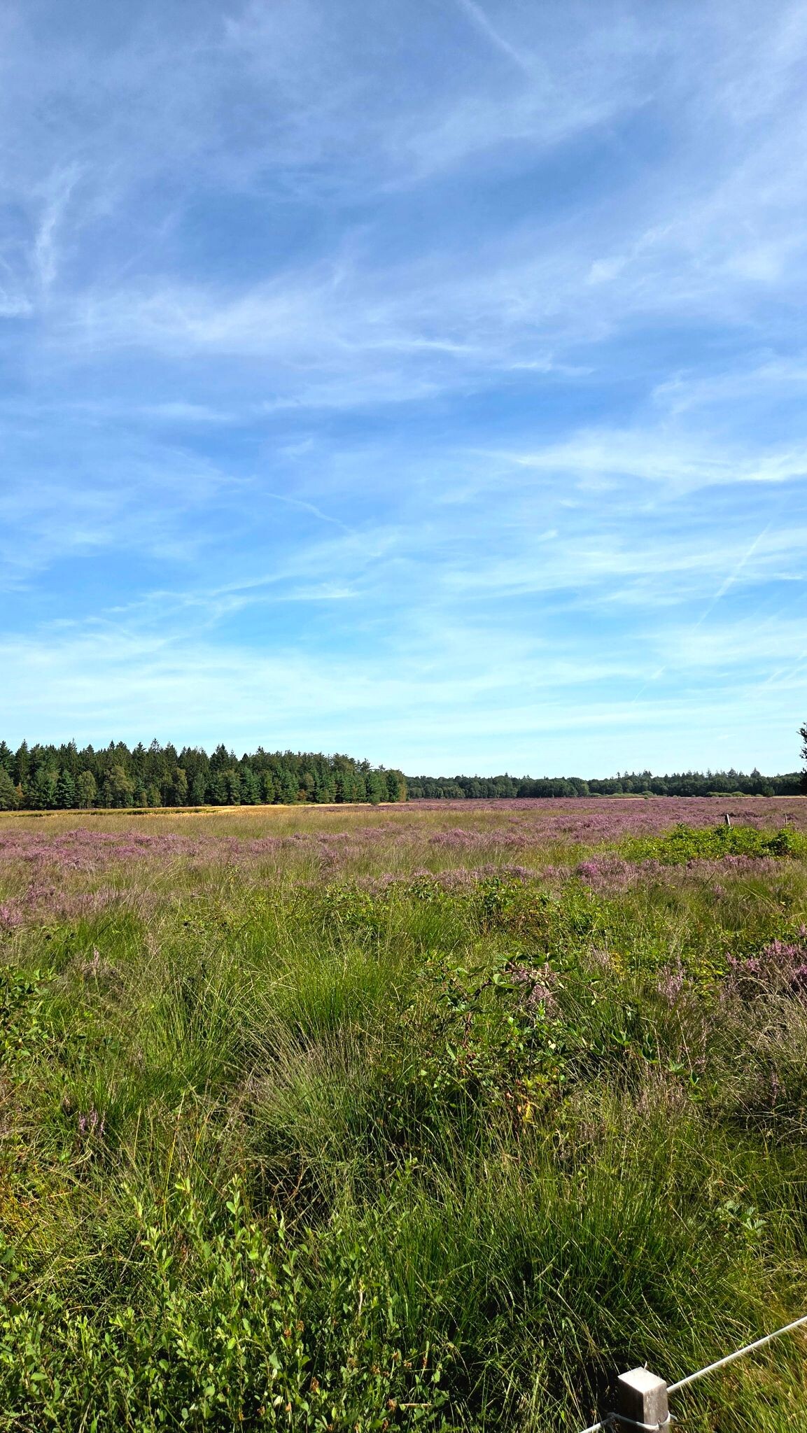 Wandelroute Gijsselterplassen