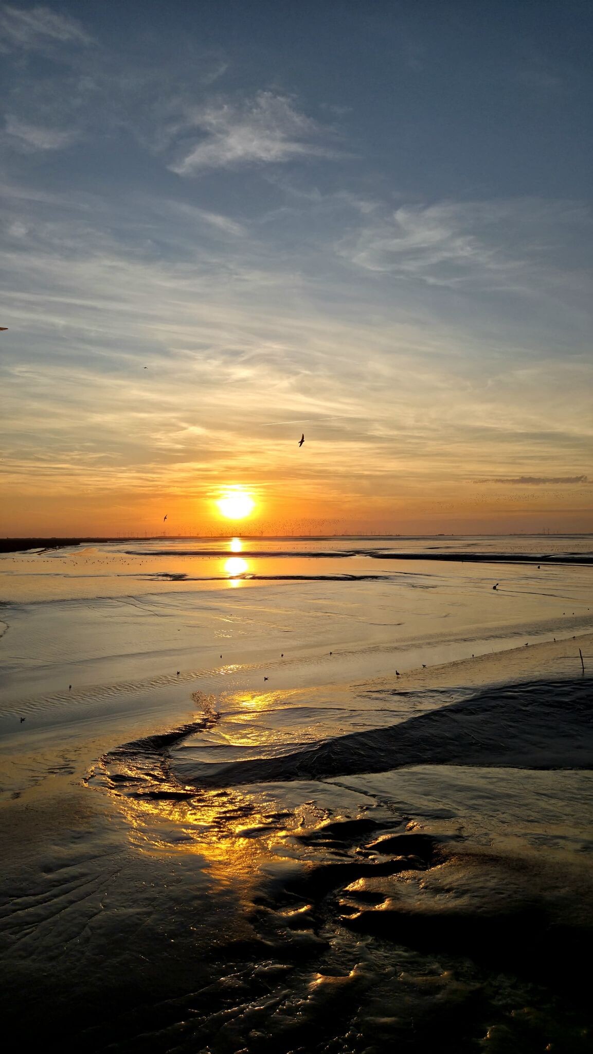 Foto van opname