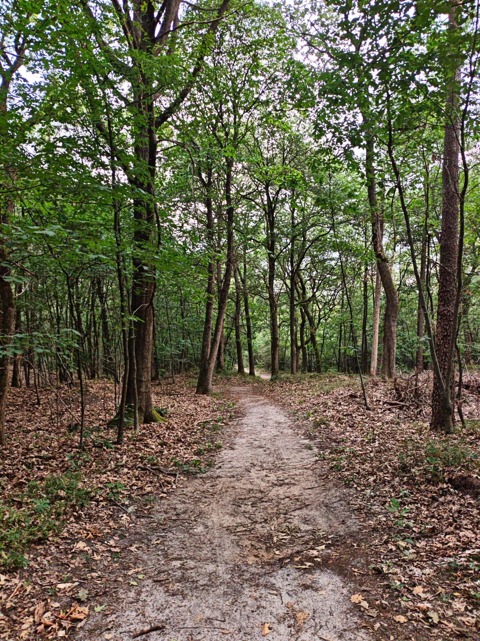 Wandelroute Lierderholt