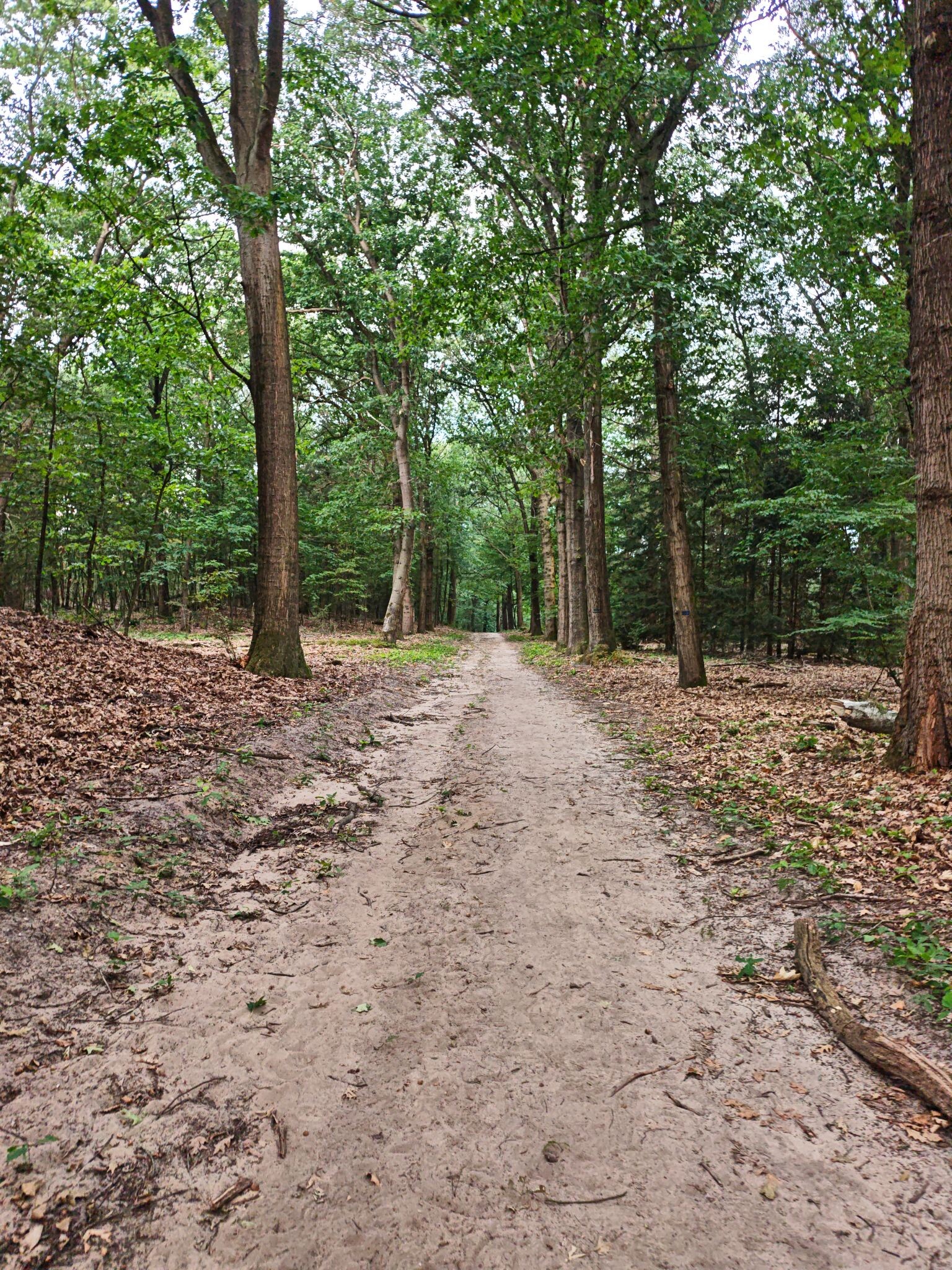 Wandelroute Lierderholt
