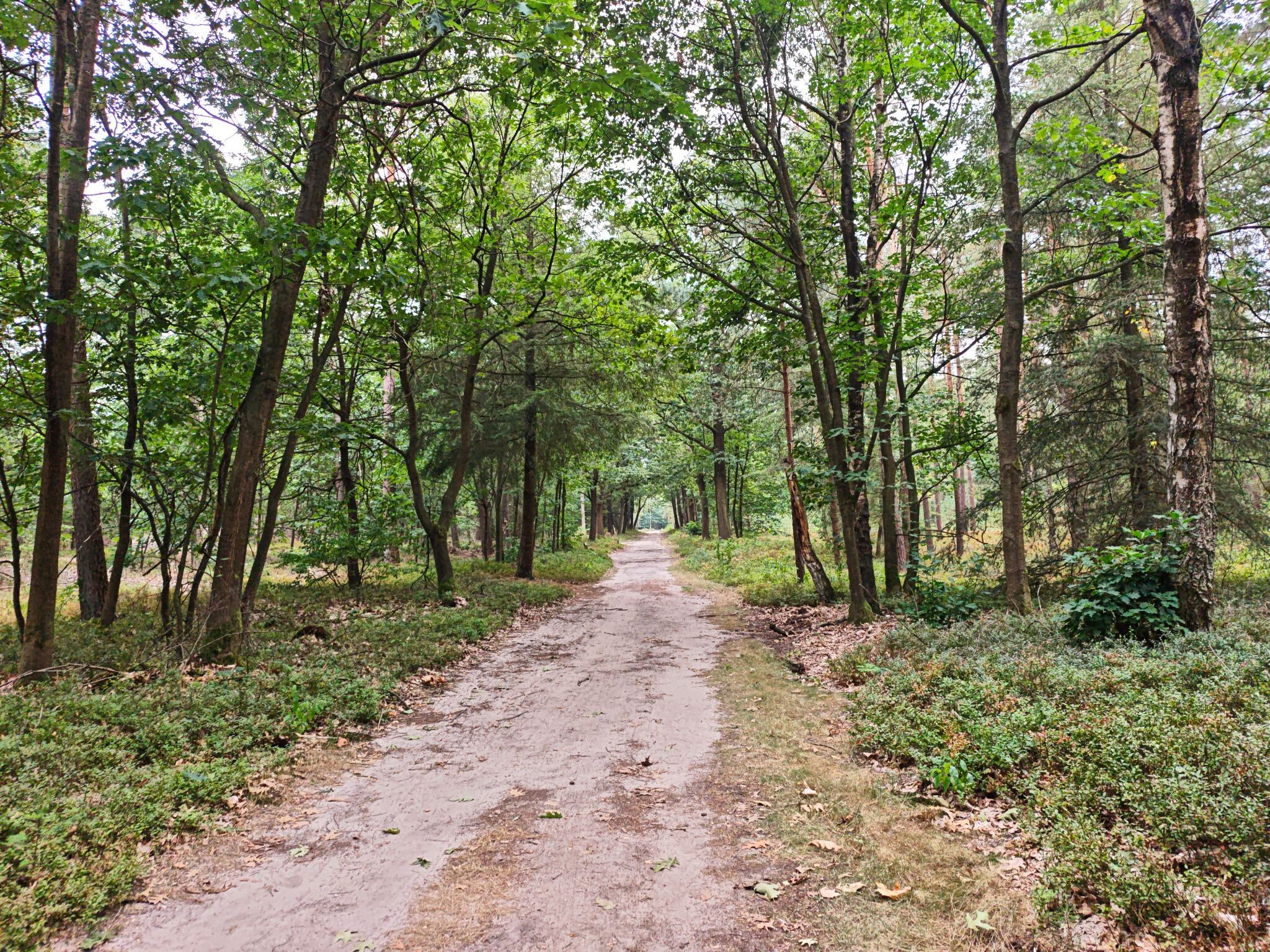 Wandelroute Lierderholt
