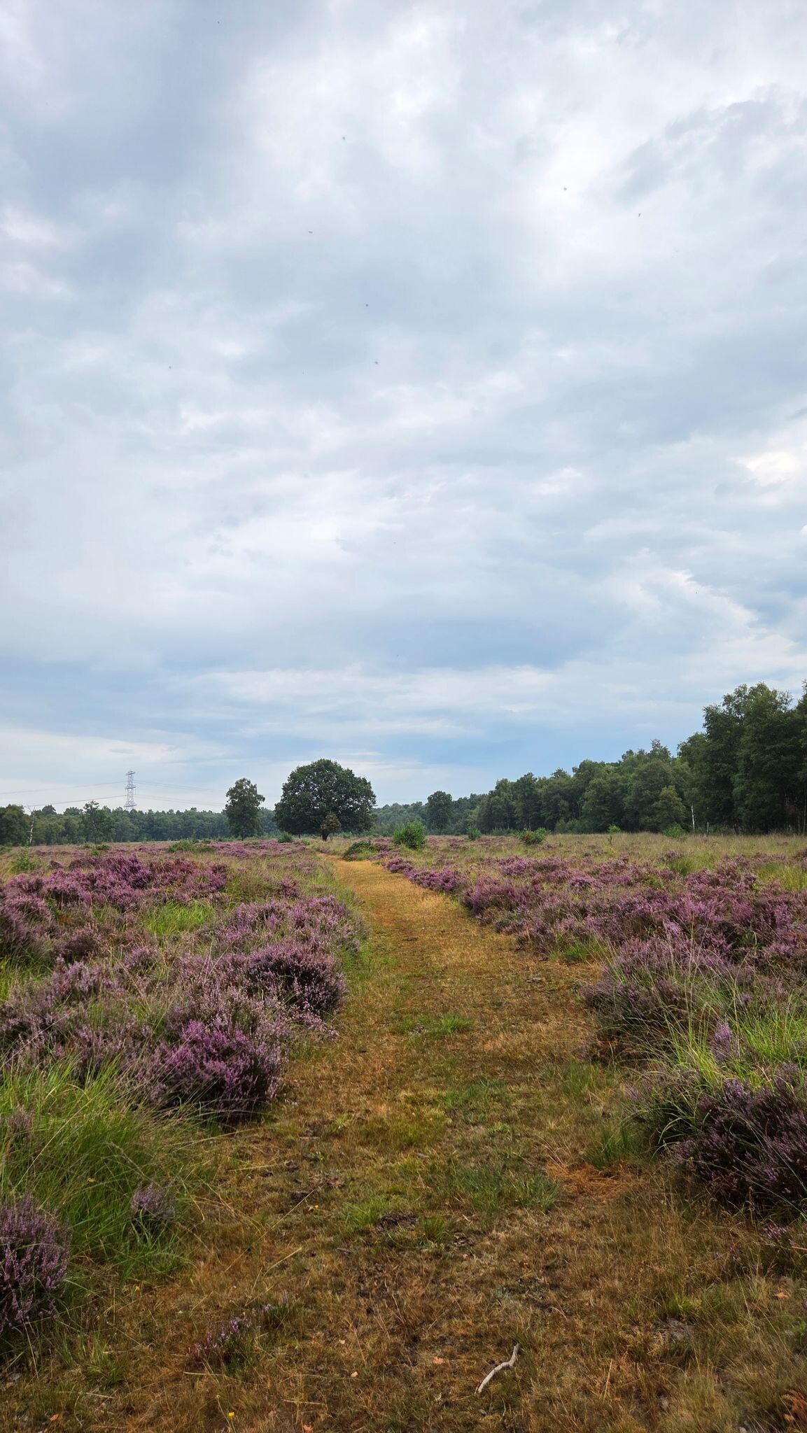 Etappe 22 Cultuurpad Coevorden