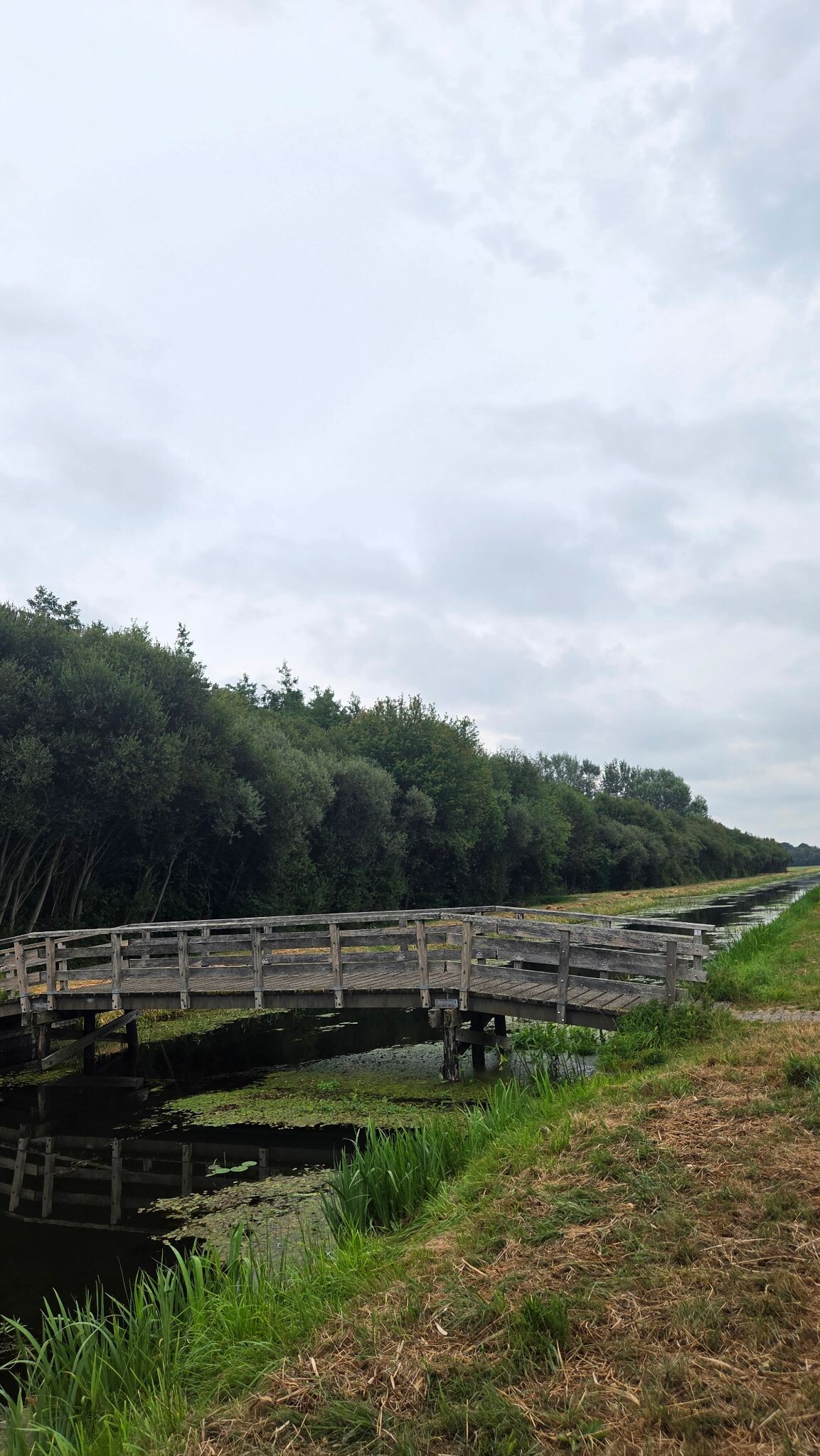 Nieuwlande - Zwinderen · Cultuurpad Coevorden etappe 23
